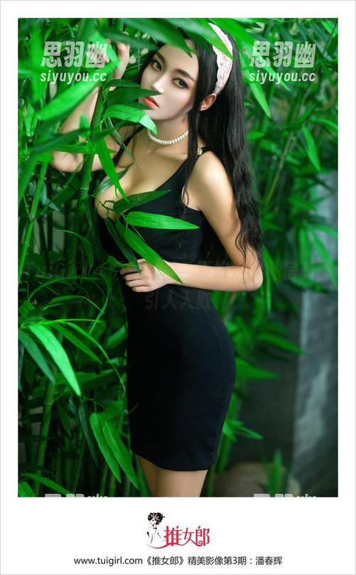 TuiGirl - 只需短裙，夏婉婉的私房美图引人入胜