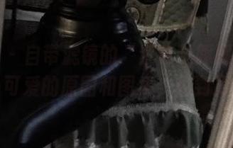 微密圈 – 自带滤镜的“紫色哒豚豚”兔女郎——可爱的原图和图集，甜到掉牙了！